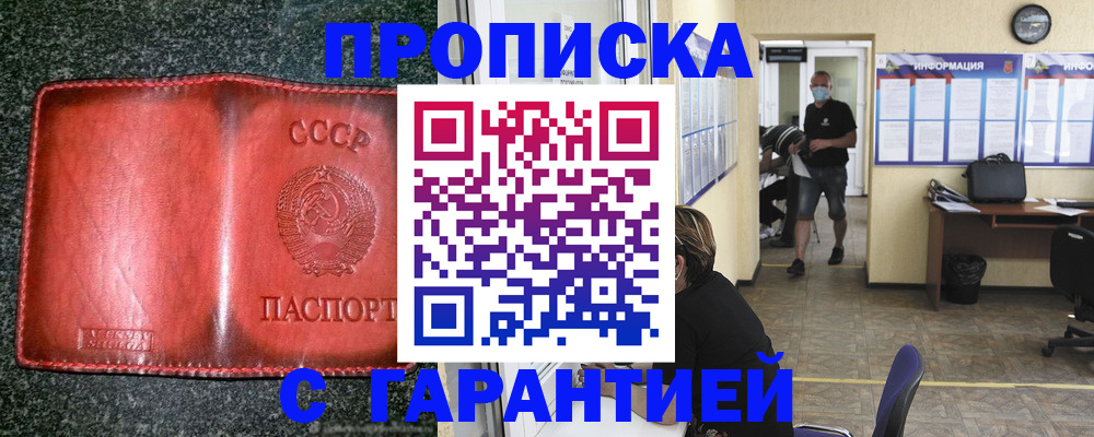 прописка гарантия в Светлограде